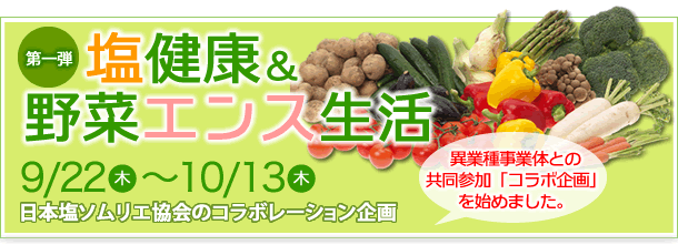 第1弾「塩健康&野菜エンス生活」